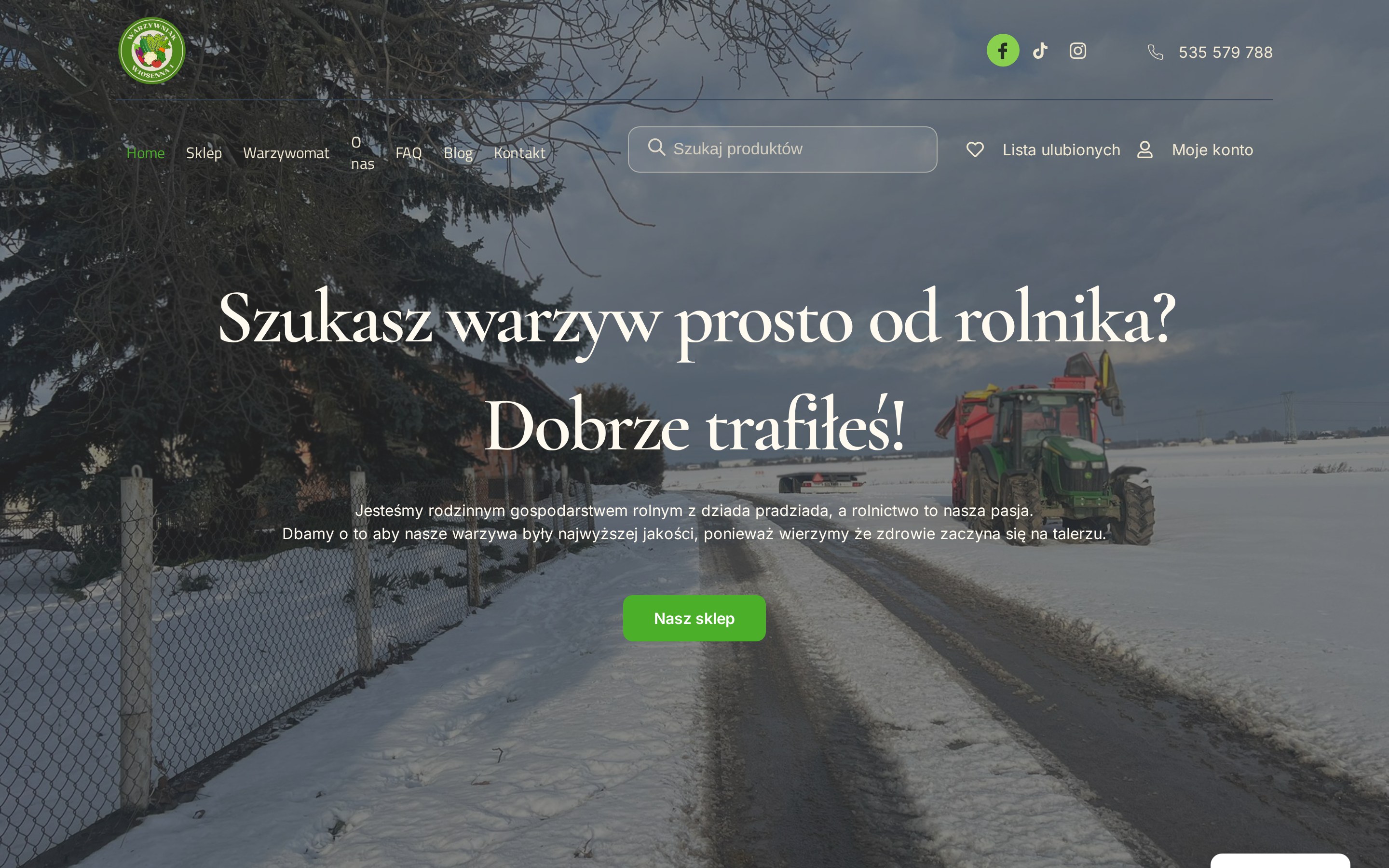 Warzywniak Wiosenna - widok na komputerze